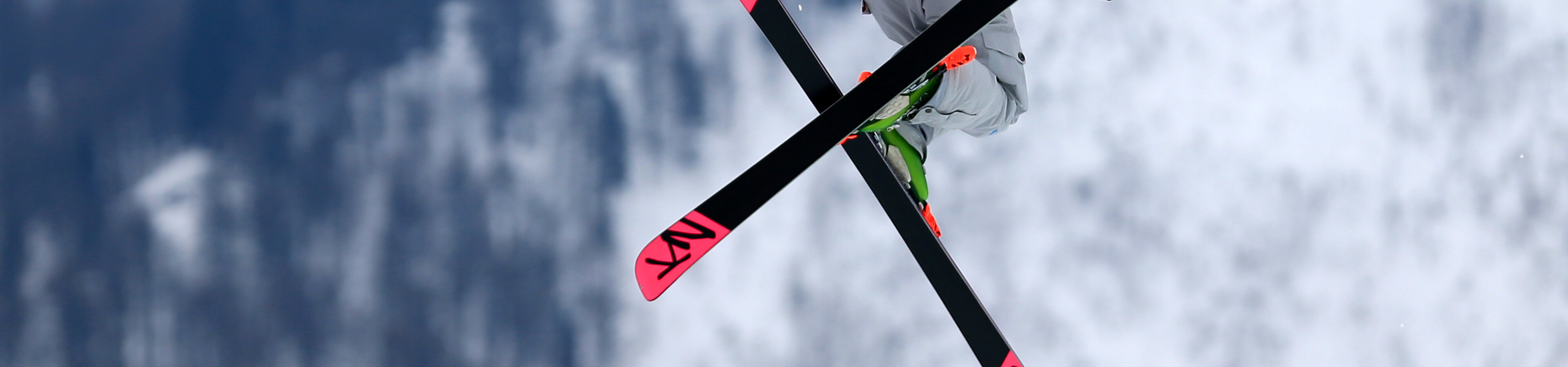 Ski Freestyle Team Deutschland