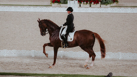 Dressur-Equipe holt zweite deutsche Goldmedaille in Tokio