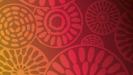 One Year To Go: FAQ zu den Youth Olympic Games 2026 One Year To Go: FAQ zu den Youth Olympic Games 2026