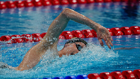 Wellbrock verpasst Medaille über 800 m Freistil